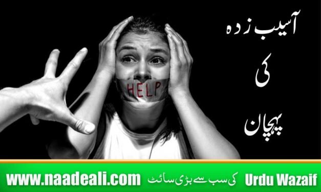 Sehar Zada Ki Pehchan Kya Hai ?