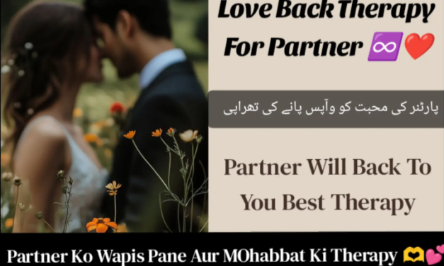 Love Back Therapy For Partner Love